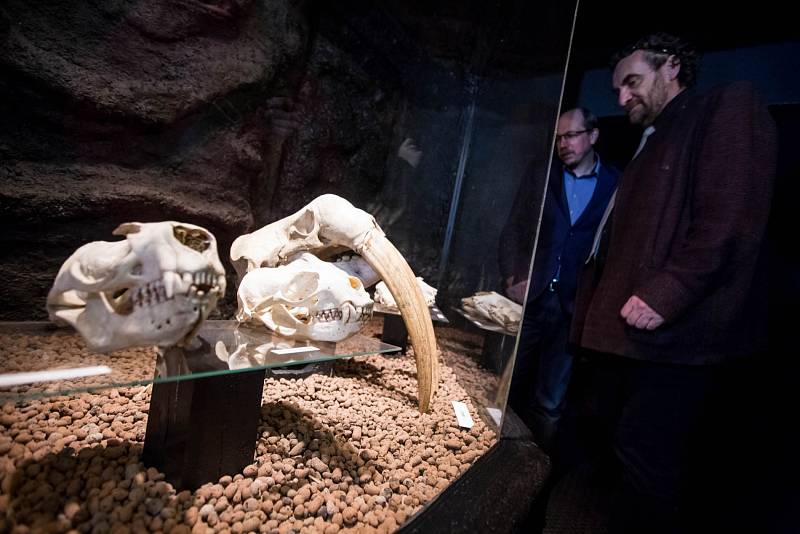 V areálu zoologické zahrady ve Dvoře Králové nad Labem byla 13. března 2018 otevřena nová expozice Umění pod kůží aneb krása kosti.