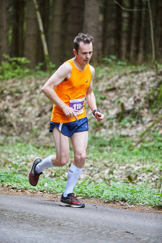 Běžecký maraton NaHoruRun vedl z Trutnova až na Černou horu a dolů do Janských Lázní.