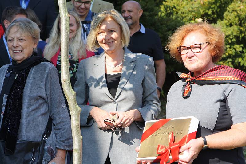 Vysazení stromu pro Olgu Havlovou u obchodní akademie v Janských Lázních.