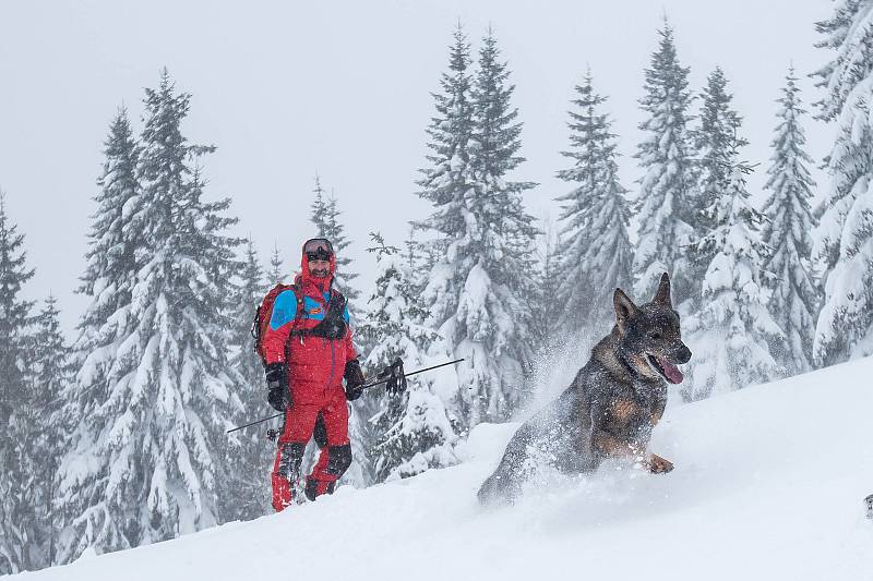 V Krkonoších u Richtrových bud nad Pecí pod Sněžkou trénovali 15. ledna 2019 horští záchranáři vyhledávání v lavinách. Mezinárodního cvičení, které skončí 17. ledna 2019, se účastní asi 40 záchranářů včetně 20 psovodů a jejich psů.