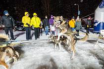V sobotu večer odstartoval pod sjezdovkou Javor v Peci pod Sněžkou etapový závod musherů Ledová jízda.