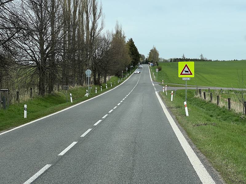 Nové dopravní značení u Výšinky varuje řidiče před výskytem krav.