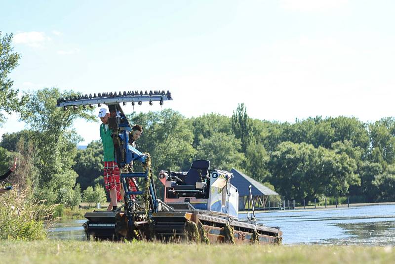 Speciální stroj seká a hrabe trávu na rybníku Kačák ve Vrchlabí.