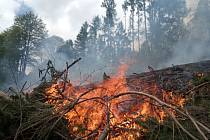 Požár lesní paseky po těžbě likvidovalo mezi Starým Rokytníkem a Bohuslavicemi osm jednotek profesionálních a dobrovolných hasičů.