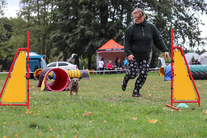 Třetí ročník závodů psí agility v Čisté v Krkonoších.