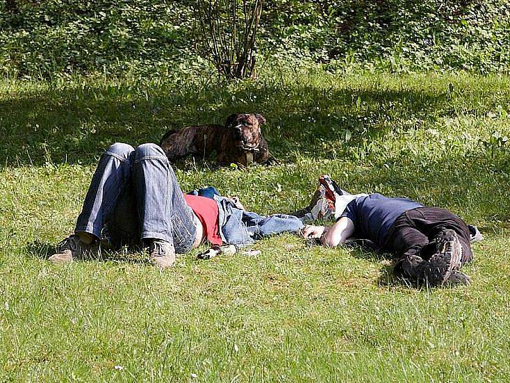 Mladíci spali opilí v parku, jejich dva psi ohrožovali kolemjdoucí