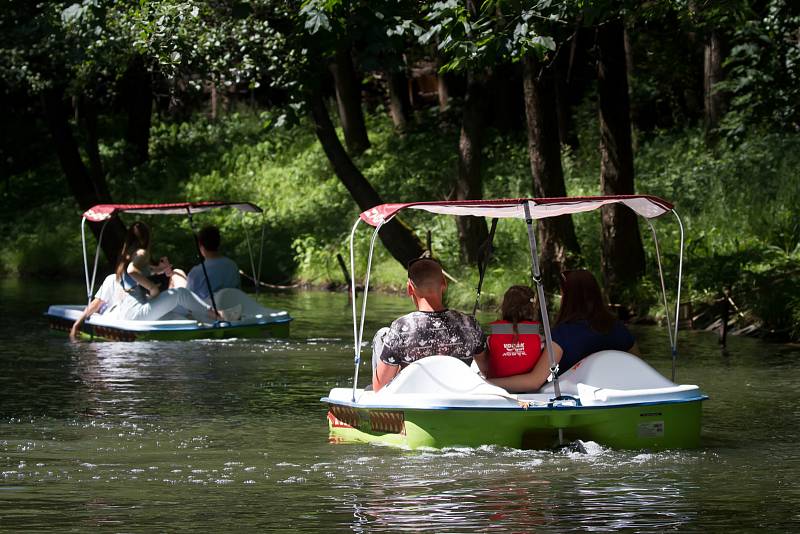 Letní novinkou v Safari Parku Dvůr Králové jsou šlapadla, na kterých lze jezdit na rybníku u Jezera hrochů.