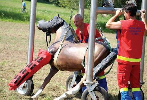 Slavnosti koní v Kuksu