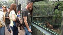 Křtiny orangutana v královédvorské zoo, kmotrem byl Dominik Hašek