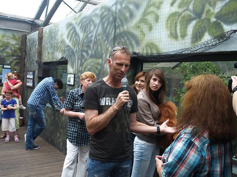 Křtiny orangutana v královédvorské zoo, kmotrem byl Dominik Hašek