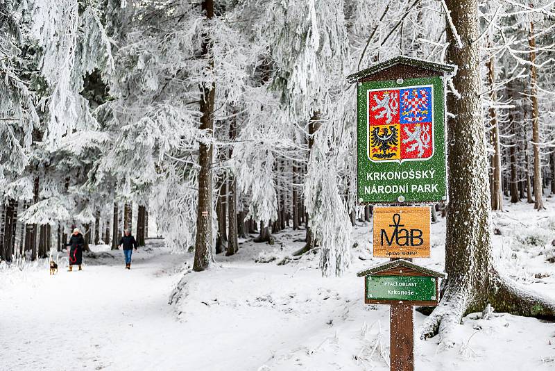 Skiareál Malá Úpa zahájil v sobotu 3. prosince 2022 lyžařskou sezonu.