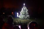 Rozsvěcení vánočního stromu v Radimi.