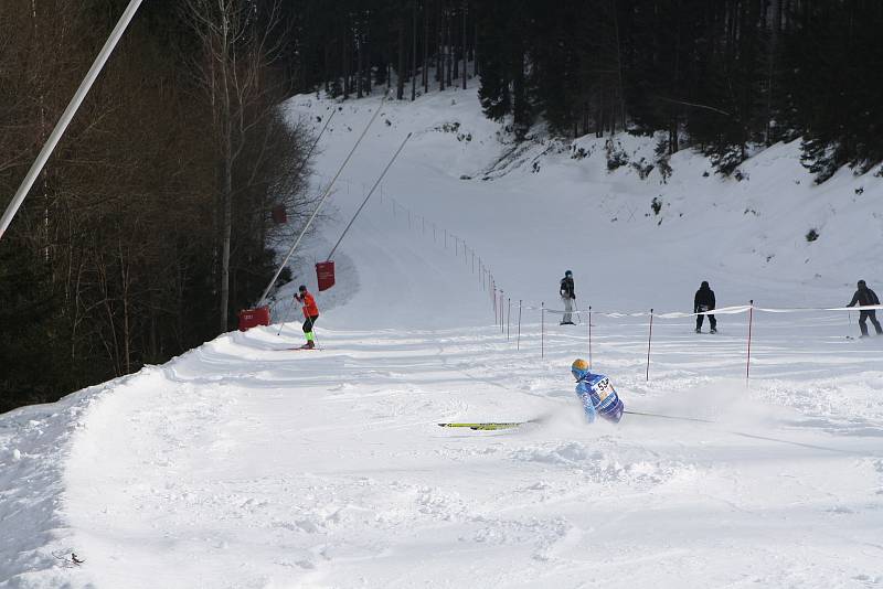 V sobotu se uskutečnil 63. ročník nejstaršího českého závodu běžkařů Krkonošská 70. Start a cíl byl v lyžařském středisku Svatý Petr ve Špindlerově Mlýně. Foto: Deník/Jan Braun