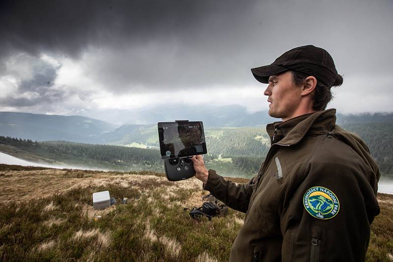 Strážci KRNAPu měřili výšku sněhové pokrývky na úbočí Studniční hory zvaném Mapa republiky. Novinkou se stalo měření pomocí dronu.