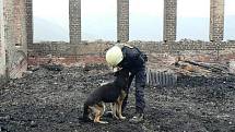 Hasiči vyšetřují požár na Petrově boudě