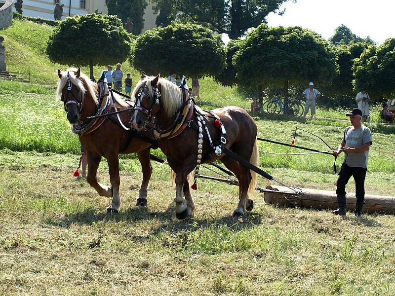 Slavnosti koní, řemesel a historie v Kuksu 2013