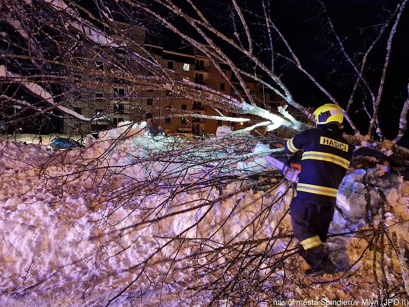 Hasiči odstraňovali ve Špindlerově Mlýně strom, který spadl na cestu na sídlišti Bedřichov.