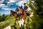 Strážci na koních v létě pomáhají turistům