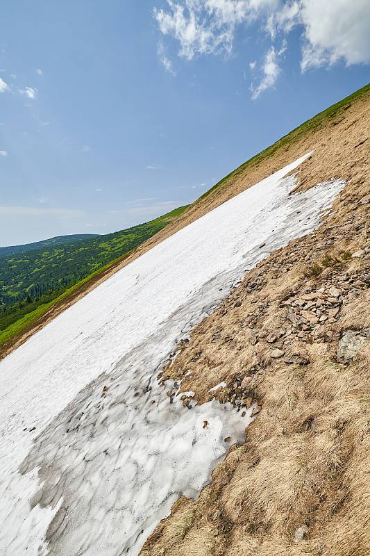 Krkonošská příroda, nafocená 1. července 2019.