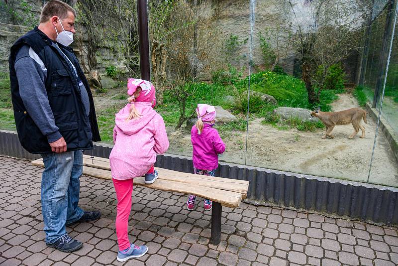 V sobotu dorazilo do Safari Parku Dvůr Králové 3374 lidí.