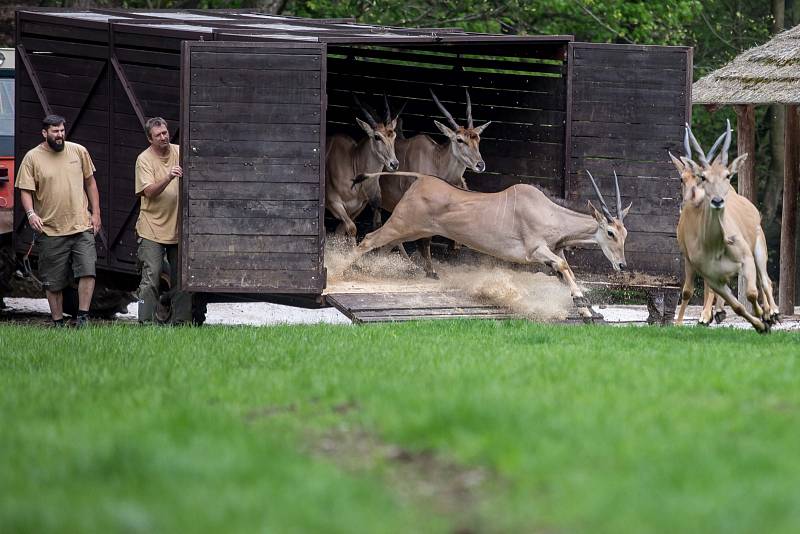 Safari Park Dvůr Králové 2018