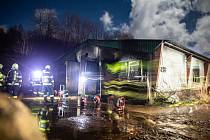 Při velkém požáru kravína ve Zlaté Olešnici u Trutnova uhynulo 150 jalovic