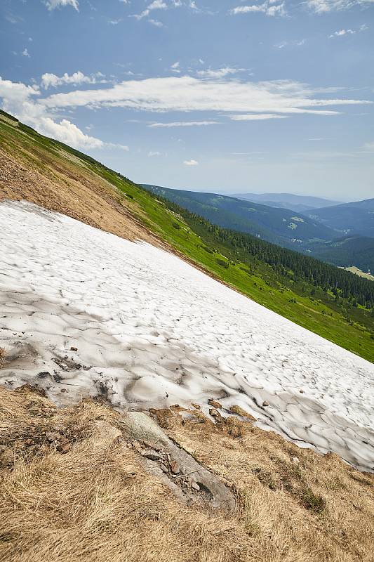 Krkonošská příroda, nafocená 1. července 2019.