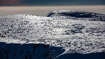 Turisty, běžkaře a hlavně skialpinisty upozornuňují na hřebenech Krkonoš cedule na výskyt tetřívka. V první zóně národního parku je zakázán vstup mimo vyznačené cesty.