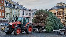 V Trutnově stojí od pondělí na Krakonošově náměstí vánoční strom.