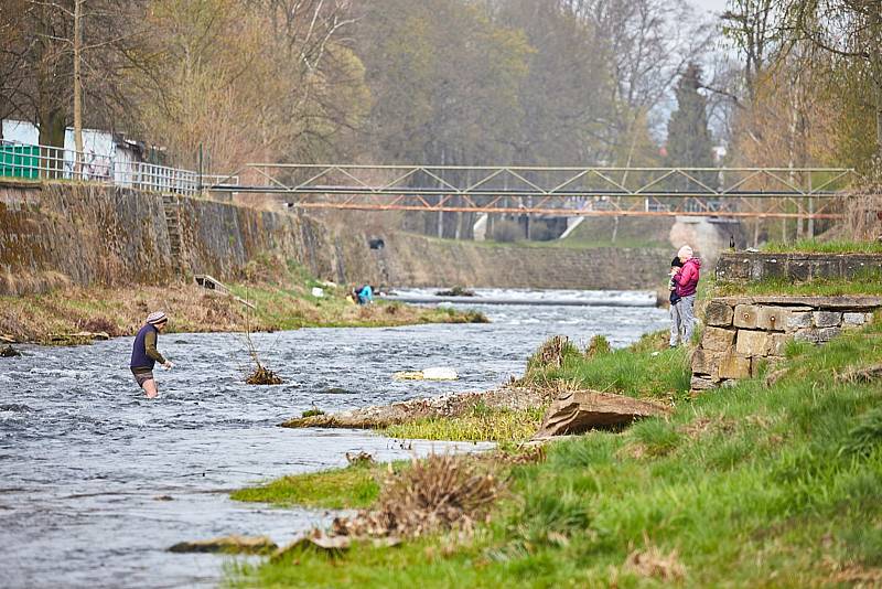 Trutnované v sobotu uklízeli koryto řeky Úpy.