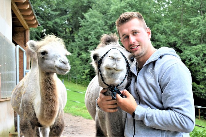 Farmář Štěpán Vlček ze Svobody nad Úpou provozuje v Krkonoších lamatreking a cameltreking. Pořízením velbloudů si splnil dětský sen.