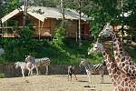Lidé se mohou ubytovat v Safari kempu v bezprostřední blízkosti zvířat.