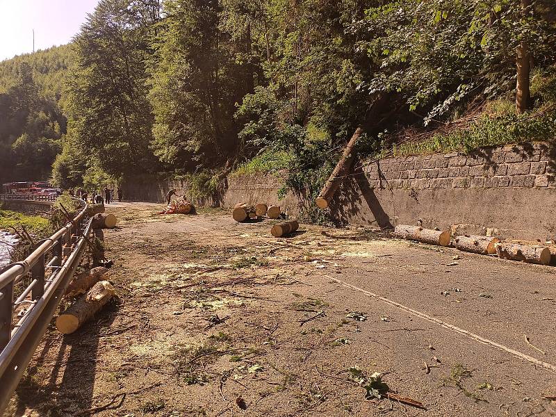 Na silnici mezi Temným Dolem a Malou Úpou spadl strom na projíždějící auto, zabil dvě ženy a jednoho chlapce.