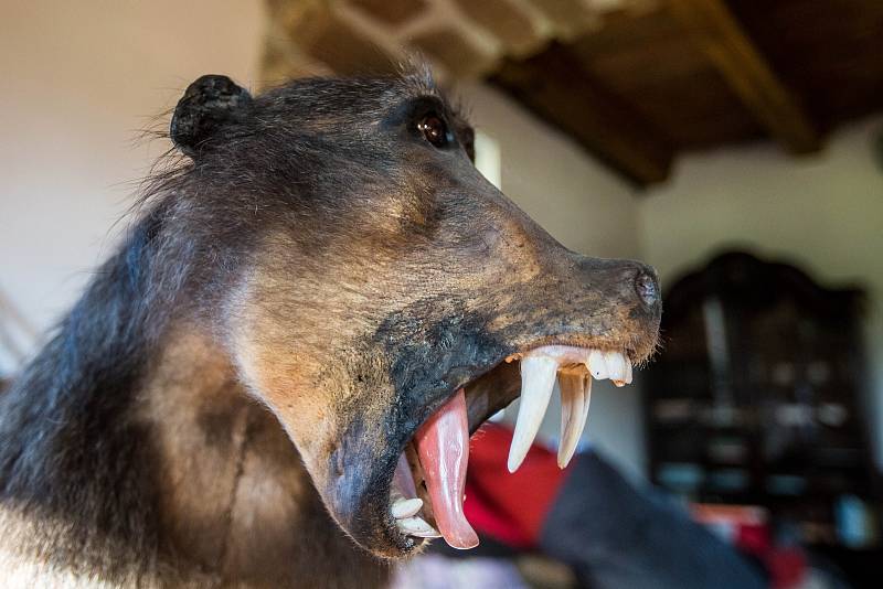 Nejpozoruhodnějším místem je středověký hrad v Černé Vodě u Žacléře, který si tam postavil Martin Zeman. Jeho hrad není veřejně přístupný, nicméně občas tam nějaké návštěvy zabrousí. Pumu, lva, lvice a nově i tygra chová soukromý majitel.