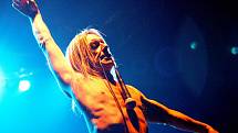 Iggy Pop