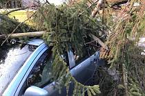 Stromy v Trutnově - Poříčí spadly na tři auta.