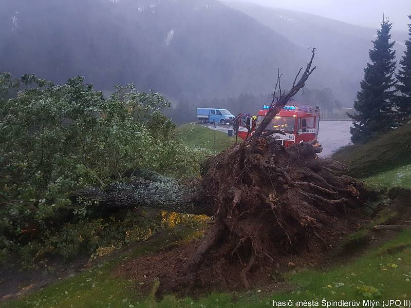 Během 24 hodin špindlerovští hasiči odklidili nebo zlikvidovali ve Špindlerově Mlýně a okolí 29 stromů.