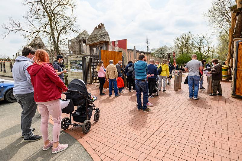 V sobotu dorazilo do Safari Parku Dvůr Králové 3374 lidí.