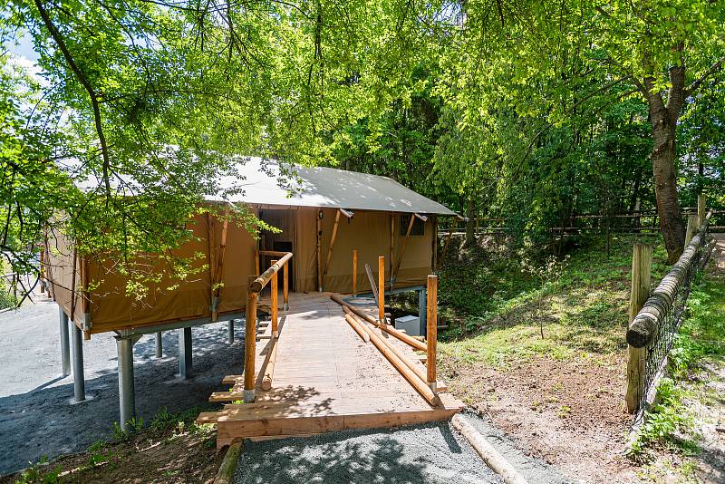 V Safari kempu ve Dvoře Králové nad Labem vznikají tři obrovské glampingové stany, které poskytnou ubytování pro osm osob.