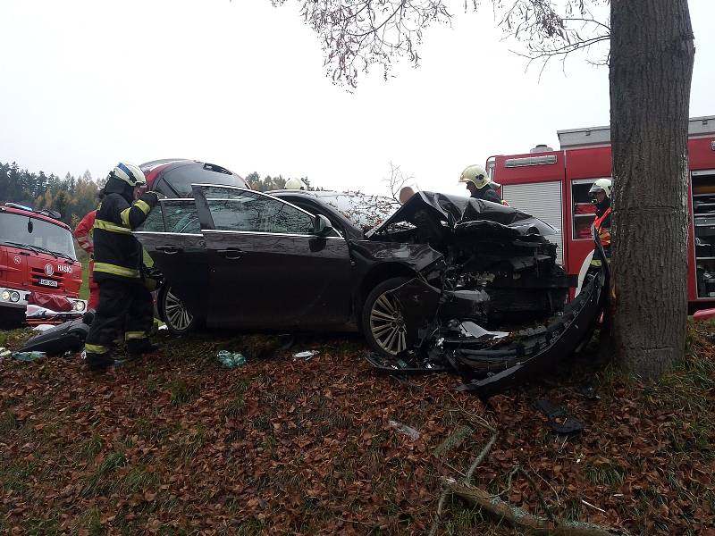 Při pondělní nehodě narazilo auto do stromu na silnici mezi Batňovicemi a Úpicí.