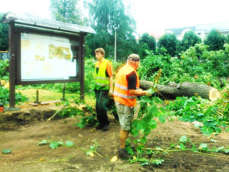 VŘÍSKOT MOTOROVÝCH PIL, vůně pilin z poražených stromů, zvuk drtičky na dřevo a  hemžící se dělníci v prostoru obehnaném provizorním plotem. Tak dnes vypadá „Jiráskáč“  vTrutnově, který se má podle tvůrců projektu na obnovu náměstí omladit.