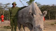 Zemřel nosorožec Sudán