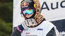 Audi SnowJam 2017