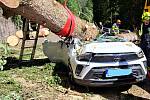 Na silnici mezi Temným Dolem a Malou Úpou spadl strom na projíždějící auto. Zabil dvě ženy a jednoho chlapce.