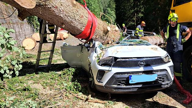 Na silnici mezi Temným Dolem a Malou Úpou spadl strom na projíždějící auto. Zabil dvě ženy a jednoho chlapce.