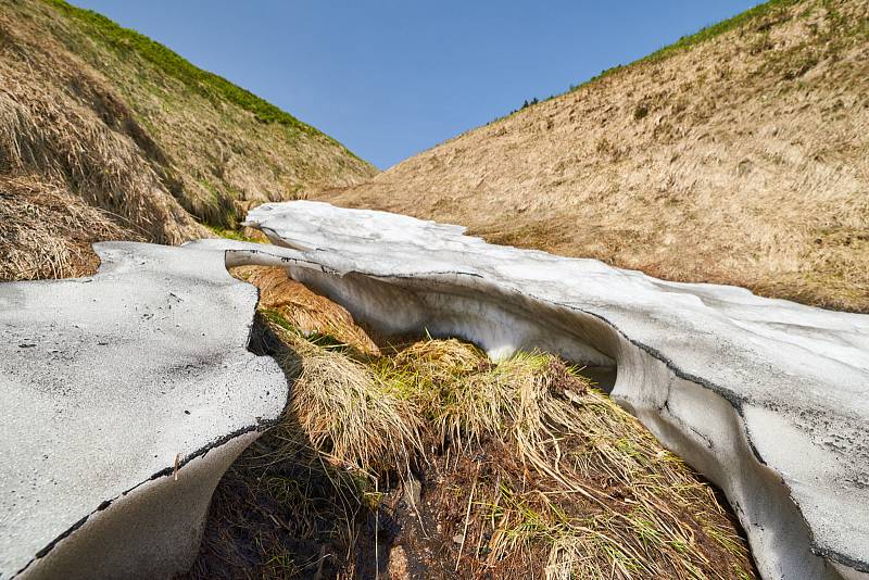 Krkonošská příroda, nafocená 1. července 2019.