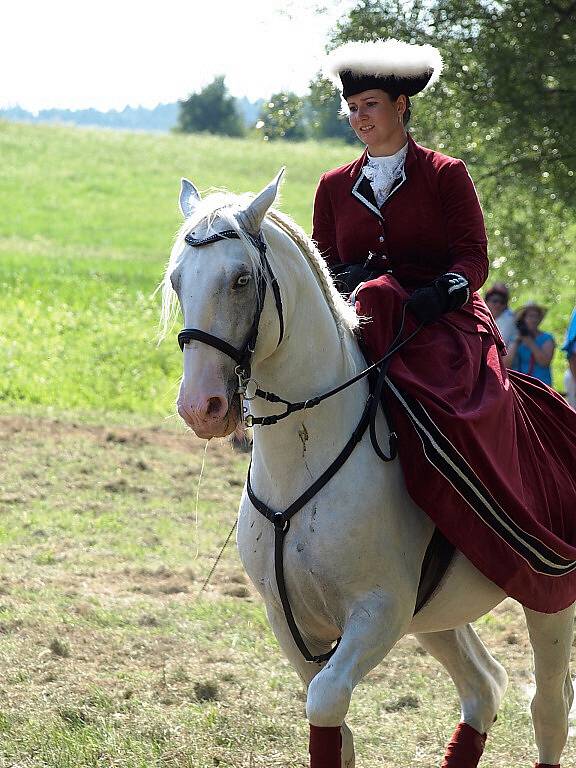 Slavnosti koní, řemesel a historie v Kuksu 2013