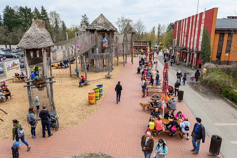 V sobotu dorazilo do Safari Parku Dvůr Králové 3374 lidí.