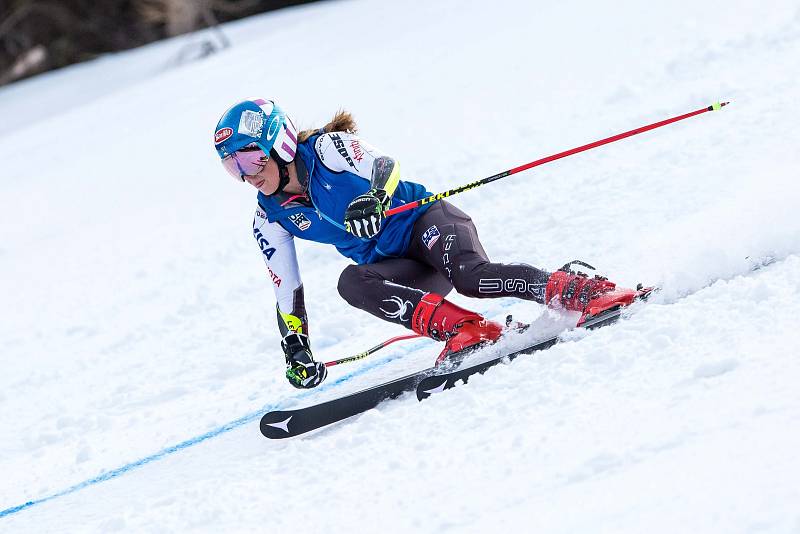 Mikaela Shiffrinová a Světový pohár v lyžování ve Špindlerově Mlýně.