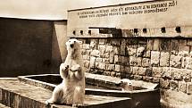 Královédvorská zoo si připomíná 76 let ode dne, kdy se brány otevřely veřejnosti.